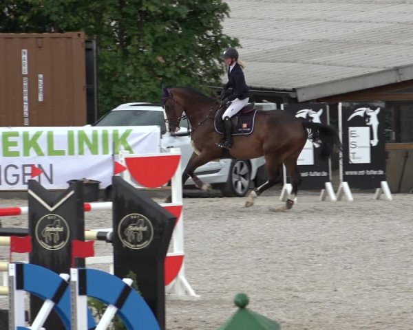 Reitturnier Leichlingen-Witzhelden 2022