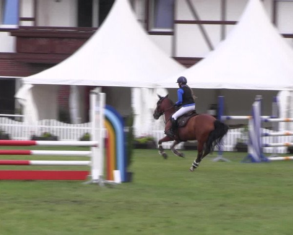 Reitturnier Münchehofe 2022