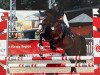 Springpferd Koran (Deutsches Reitpony, 2006, von King of Dance)