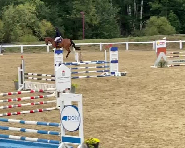 Video of Del Bosco