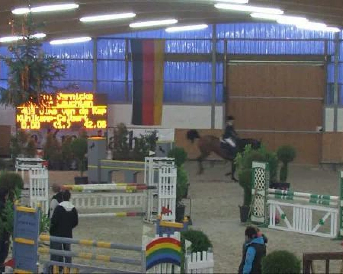 Zuchtstute Ulma van de Kapel (Belgisches Warmblut, 2004, von Ueleme de Longpre)