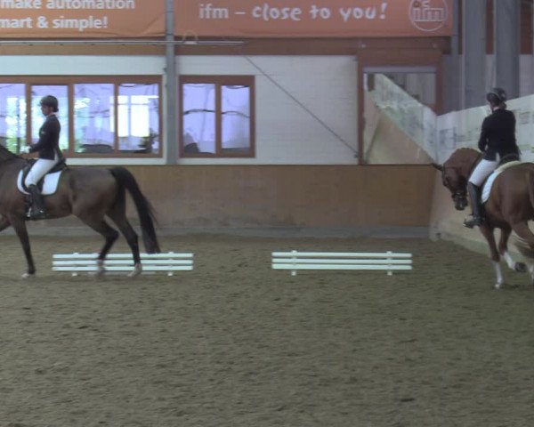 Reitturnier Appelhülsen 2022