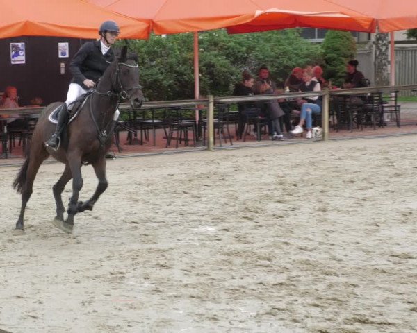 Reitturnier Walldorf/Winterheck 2022