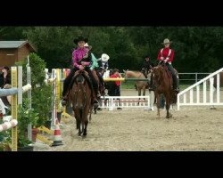 dressage horse Miles and More (Trakehner, 1995, from Kokoschka)