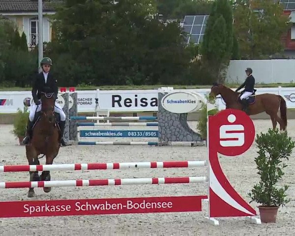 Reitturnier Babenhausen/Schw. 2022