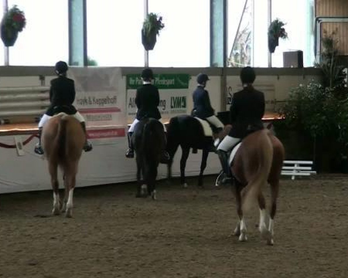jumper Mon amie Mira (German Riding Pony, 2003, from Top Pepino)