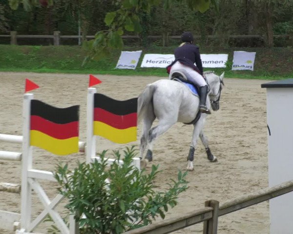 Reitturnier Walldorf/Winterheck 2022