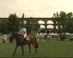 Springpferd Millenium de Roy (Selle Français, 2000, von Quidam de Revel)
