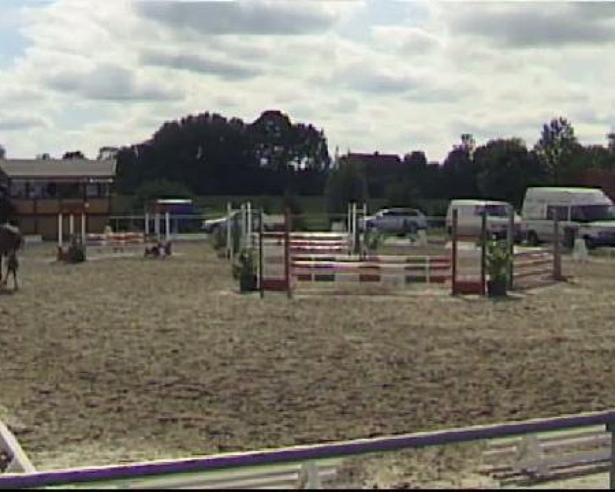broodmare Laura Biagotti 3 (German Riding Pony, 2005, from Lemberg)