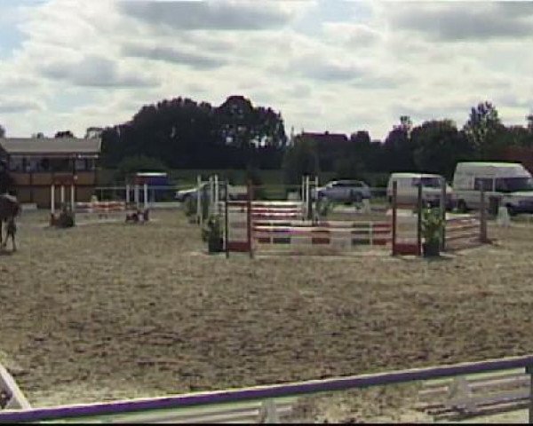 broodmare Laura Biagotti 3 (German Riding Pony, 2005, from Lemberg)
