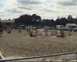 broodmare Laura Biagotti 3 (German Riding Pony, 2005, from Lemberg)