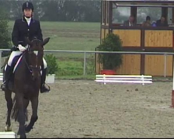 dressage horse Cascada 40 (Westphalian, 2006, from Christiano)