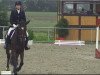 dressage horse Cascada 40 (Westphalian, 2006, from Christiano)