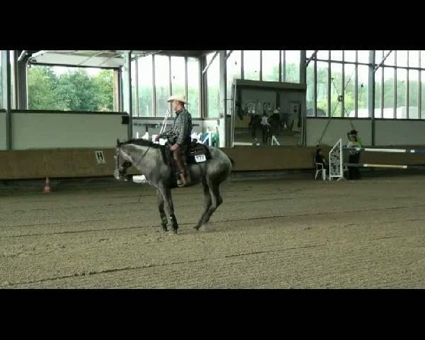 horse Smartlena Bogie (Appaloosa, 2002, from Tap And Bogie)