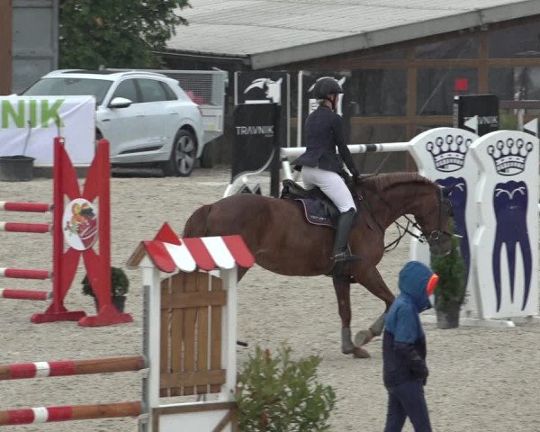 Reitturnier Leichlingen-Witzhelden 2022