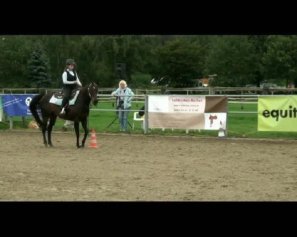 Pferd San Kay Leony (Quarter Horse, 1994, von Leo San Frost)