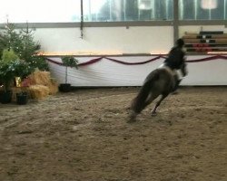 dressage horse Elsje (Hanoverian, 1999, from Escudo II)