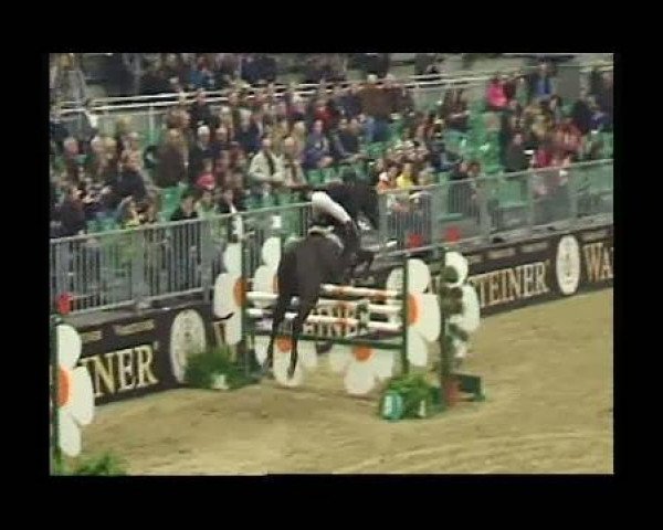 jumper El Vespucci (Hanoverian, 2003, from El Bundy)