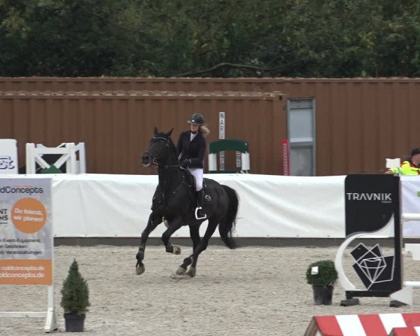 Reitturnier Leichlingen-Witzhelden 2022