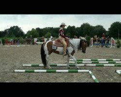 dressage horse Nikita (Paint Horse, 2019)