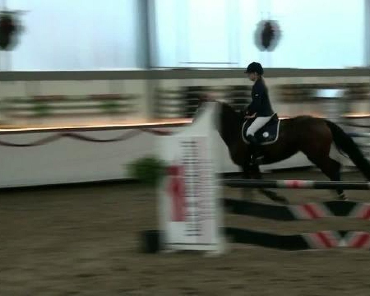 broodmare Rike 42 (Westphalian, 2001, from Riccione)