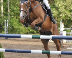 jumper Azano y Diaz (Hanoverian, 2002, from Alabaster)