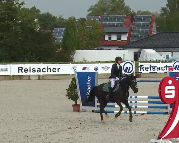 Reitturnier Babenhausen/Schw. 2022