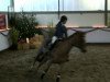 jumper Celine 31 (KWPN (Royal Dutch Sporthorse), 1992, from Furore)