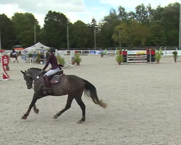Reitturnier Babenhausen/Schw. 2022