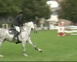 dressage horse Fair Play (German Sport Horse, 2006, from Farewell III)