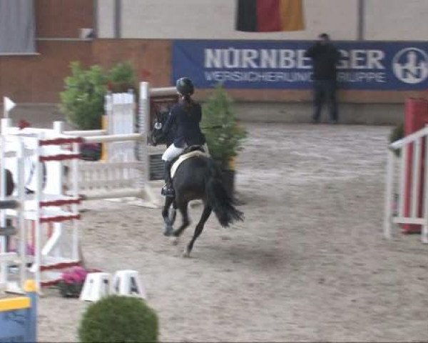 broodmare Petite Souris 3 (German Riding Pony, 2002, from FS Pour l'Amour)