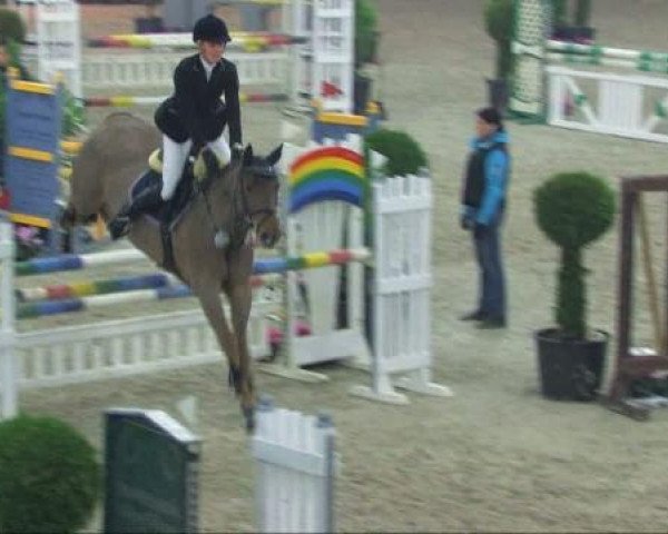 jumper Championesse 27 (Holsteiner, 2005, from Cartani 4)