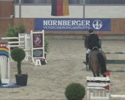 jumper Cicero 88 (Hanoverian, 2003, from Contendro I)