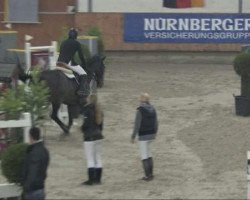 Springpferd Wabantha Fortuna (KWPN (Niederländisches Warmblut), 2003, von Kreator xx)