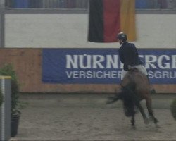 jumper Caira 3 (KWPN (Royal Dutch Sporthorse), 2002, from Sable Rose)