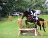 dressage horse Balerina 13 (Hanoverian, 2012, from De Niro)