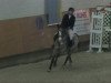 Springpferd Chiara de Luxe (Deutsches Reitpony, 2002, von FS Champion de Luxe)