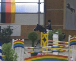 jumper Opsessie P.k. (KWPN (Royal Dutch Sporthorse), 1996, from Karandasj)