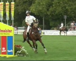 jumper Quattrino 5 (Bavarian, 2002, from Quartier Latin)