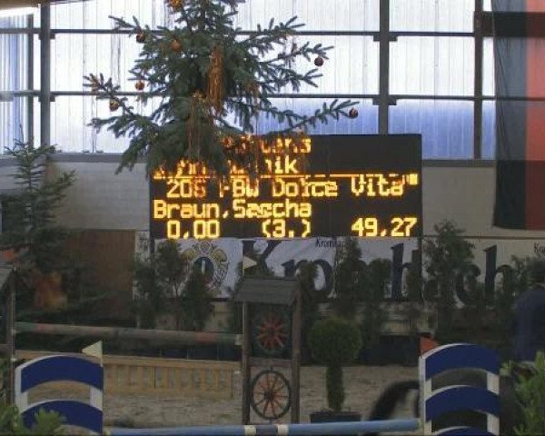 Springpferd Dolce Vita K (Württemberger, 2000, von Don Rico)