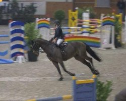 jumper Landrino 5 (Hanoverian, 2001, from Landor S)