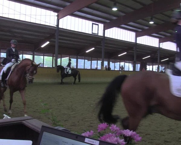 Reitturnier Appelhülsen 2022