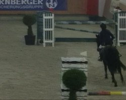 Springpferd Puschkin 276 (Deutsches Reitpony, 2002, von FS Pour l'Amour)