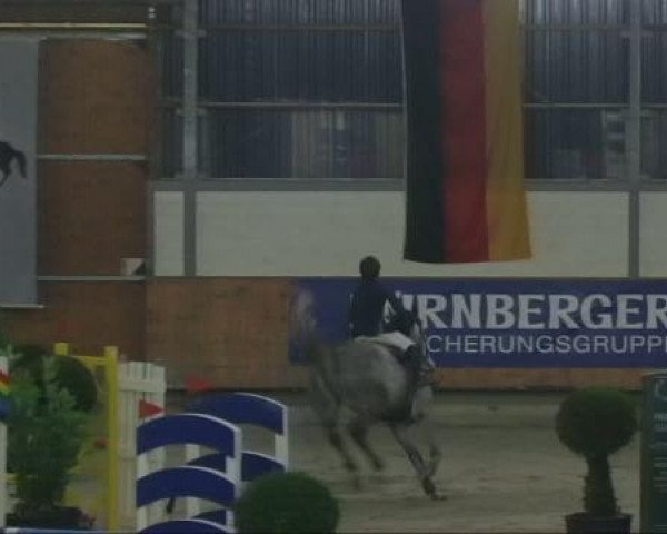 jumper Chandro 6 (Holsteiner, 2005, from Calato)