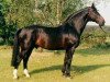 horse Rex Fritz (Westphalian, 1978, from Ramiro Z)