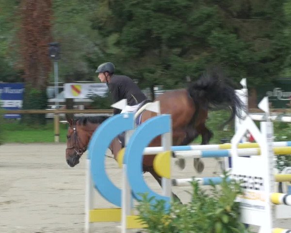 Reitturnier Walldorf/Winterheck 2022