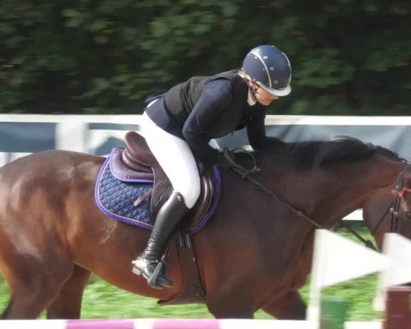 Reitturnier Walldorf/Winterheck 2022