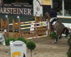 jumper Champery 2 (Oldenburg show jumper, 2004, from Champion For Pleasure)