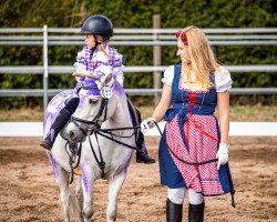 Pferd Elegante Francesco (Welsh Partbred, 2011)