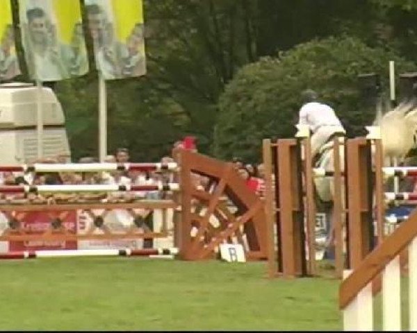 jumper Cheval Sur Blanc (Holsteiner, 2001, from Calido I)